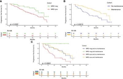 Frontiers The Utility Of Euroflow Mrd Assessment In Real World